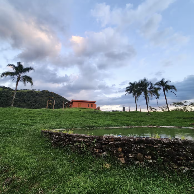 Vila-das-Palmeiras-Sao-Francisco-Xavier-Galleria-01